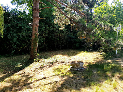 Vente terrain à Crepy en valois (60800)