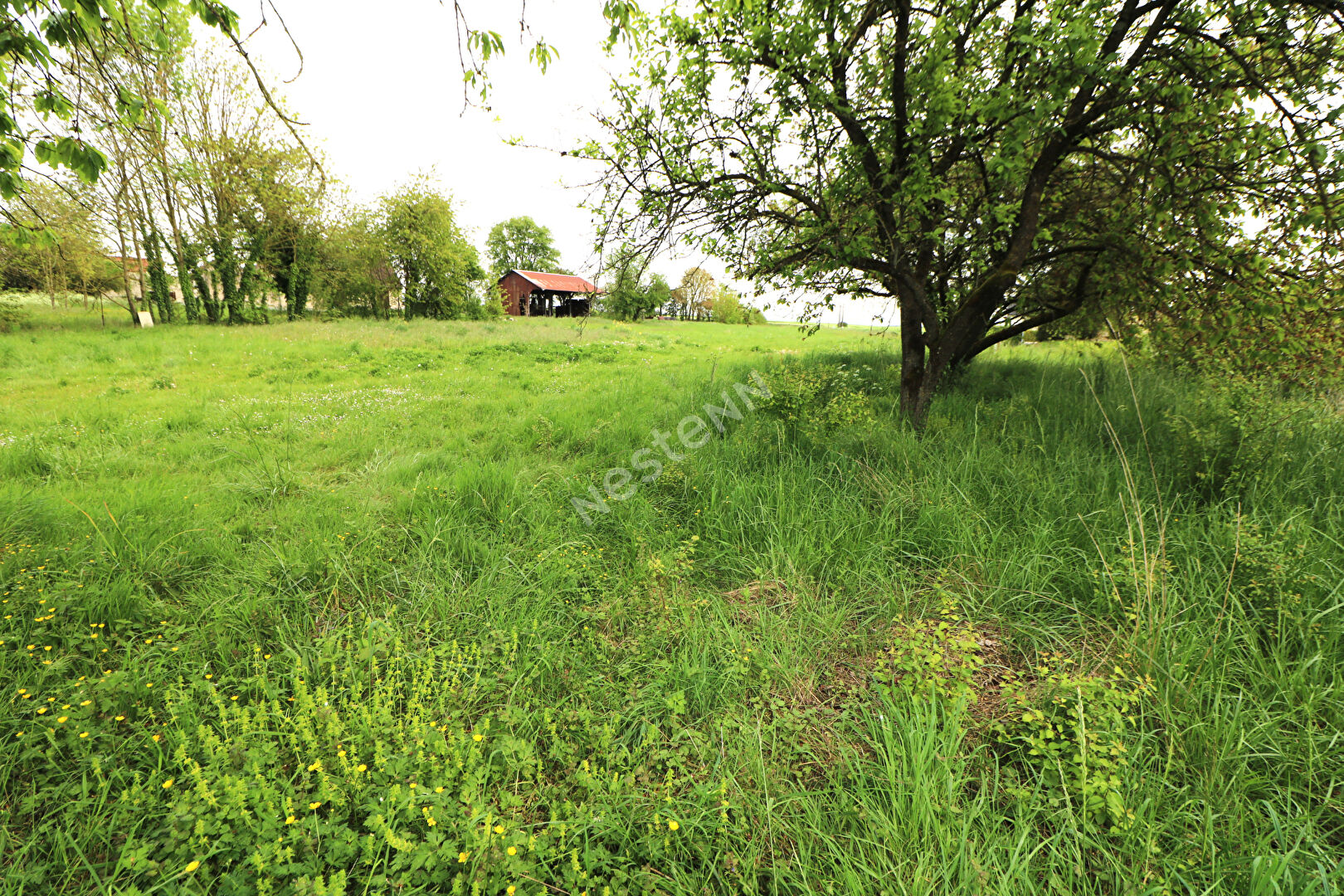 10 min de Guignicourt - 5 min St Erme : TERRAINS A BATIR