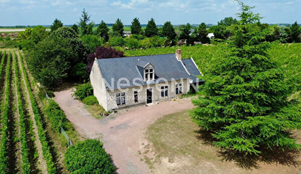 Vente maison à Doue en anjou (49700)