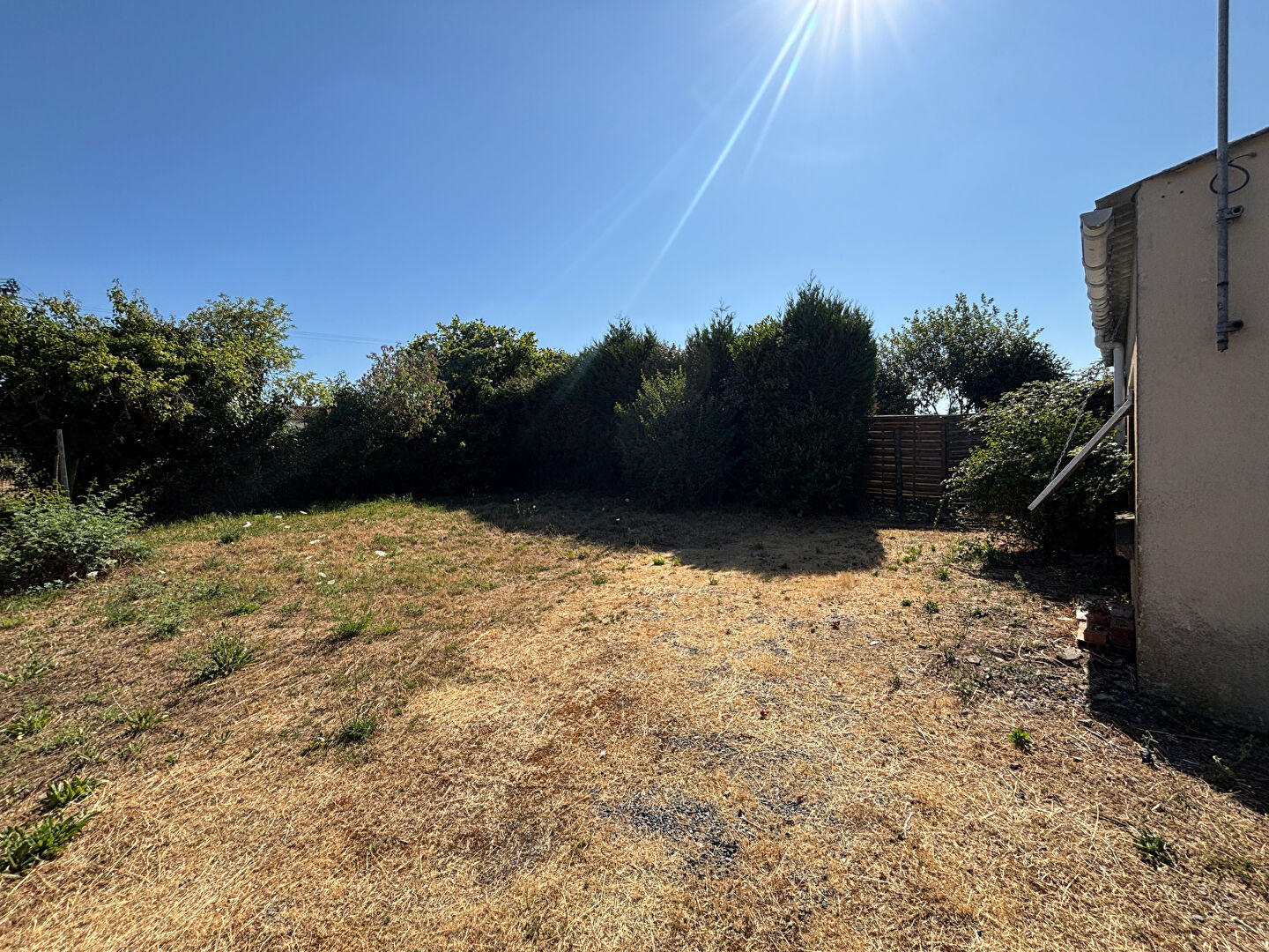 A vendre - Local commercial - 250m² - SOMLOIRE - Opportunité d'investissement - D5889