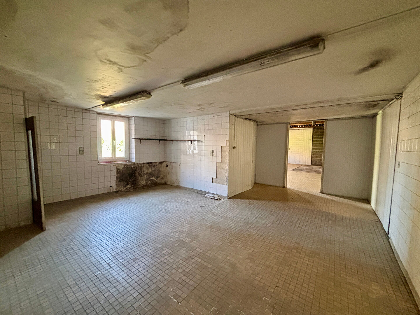 A vendre - Local commercial - 250m² - SOMLOIRE - Opportunité d'investissement - D5889