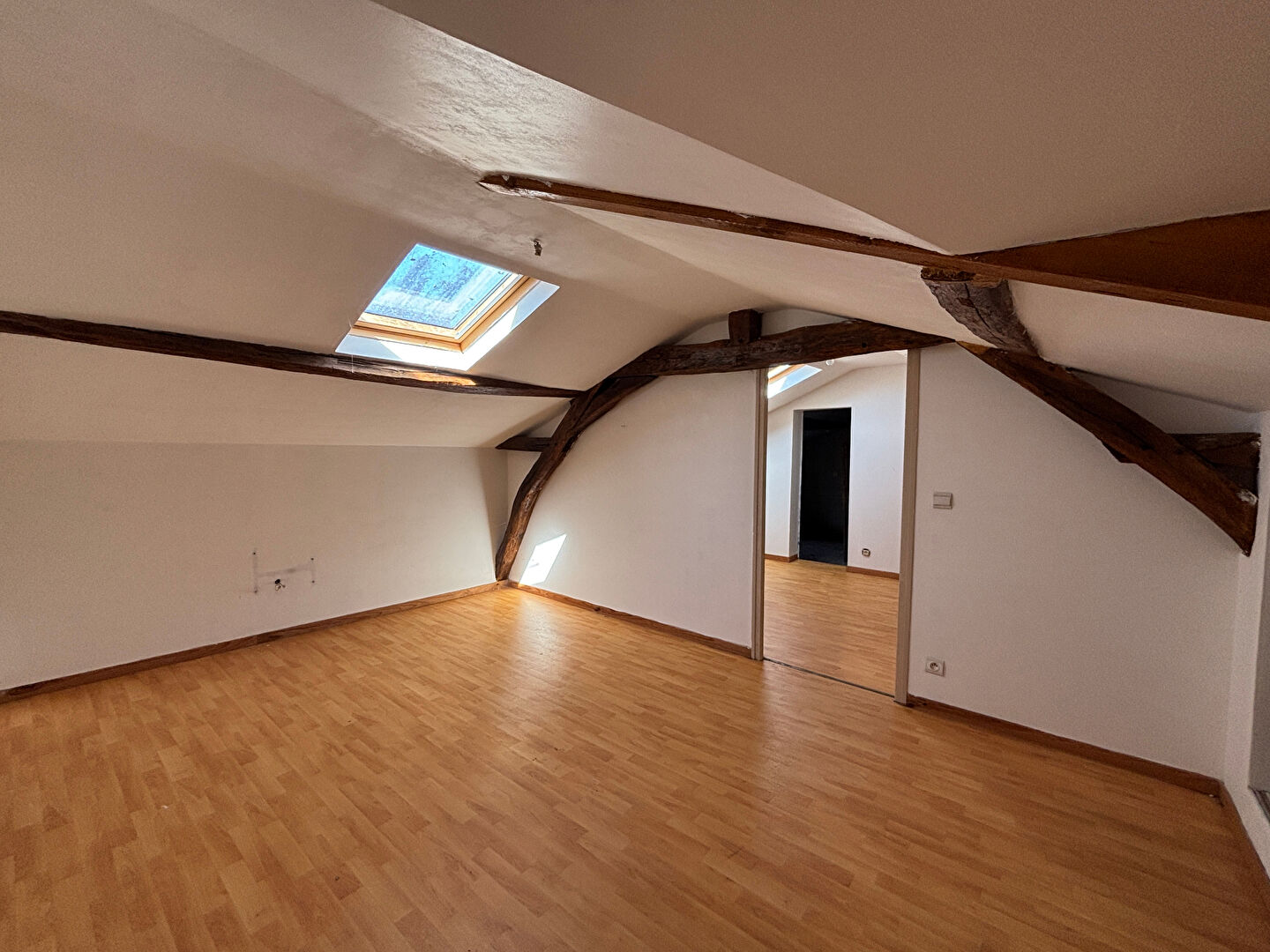 A vendre - Local commercial - 250m² - SOMLOIRE - Opportunité d'investissement - D5889