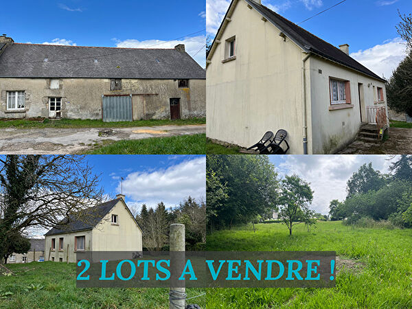 Vente maison longere à Guillac (56800)