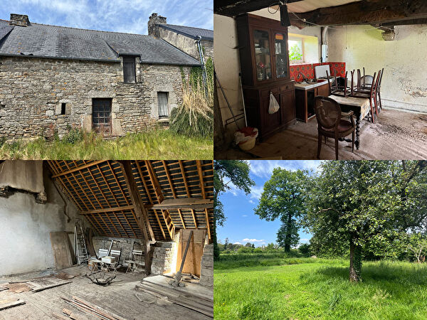 Vente maison à Lizio (56460)