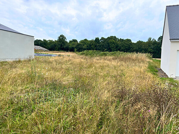 Vente terrain à Val d oust (56460)
