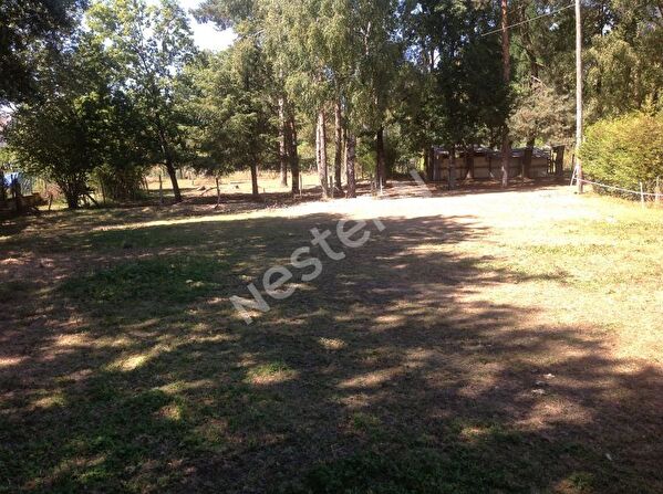 Vente terrain à Questembert (56230)