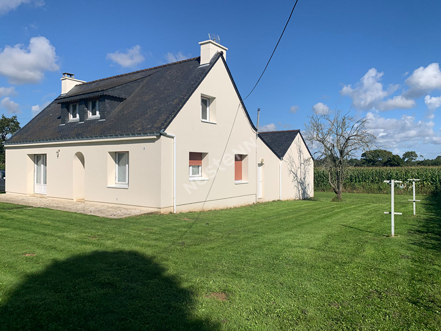 Maison Peaule - 4 chambres - Vie de plain-pied
