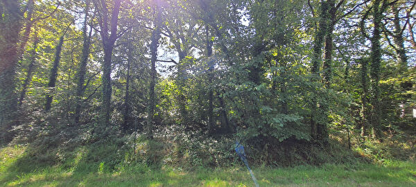 Vente terrain à Malansac (56220)