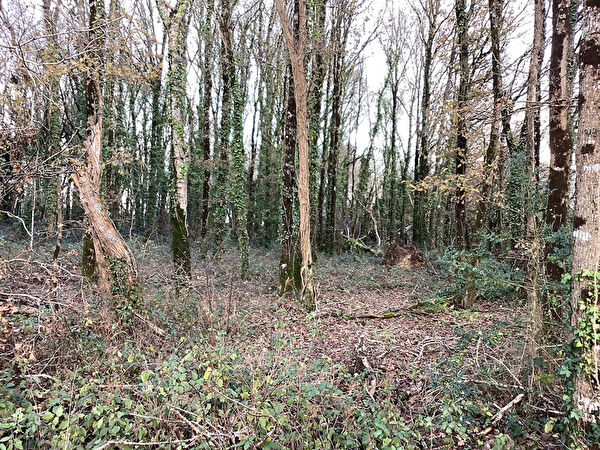 Vente terrain à Saint nicolas de redon (44460)