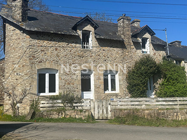 Vente maison cheminée à Limerzel (56220)