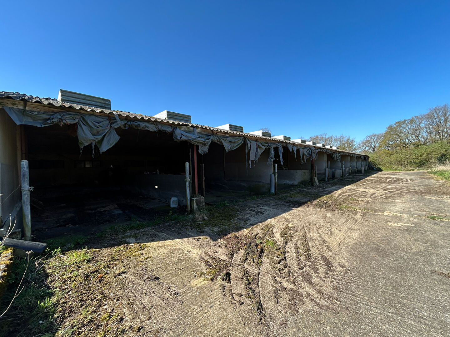 Deux hangars sur 1 hectare de terrain à Questembert