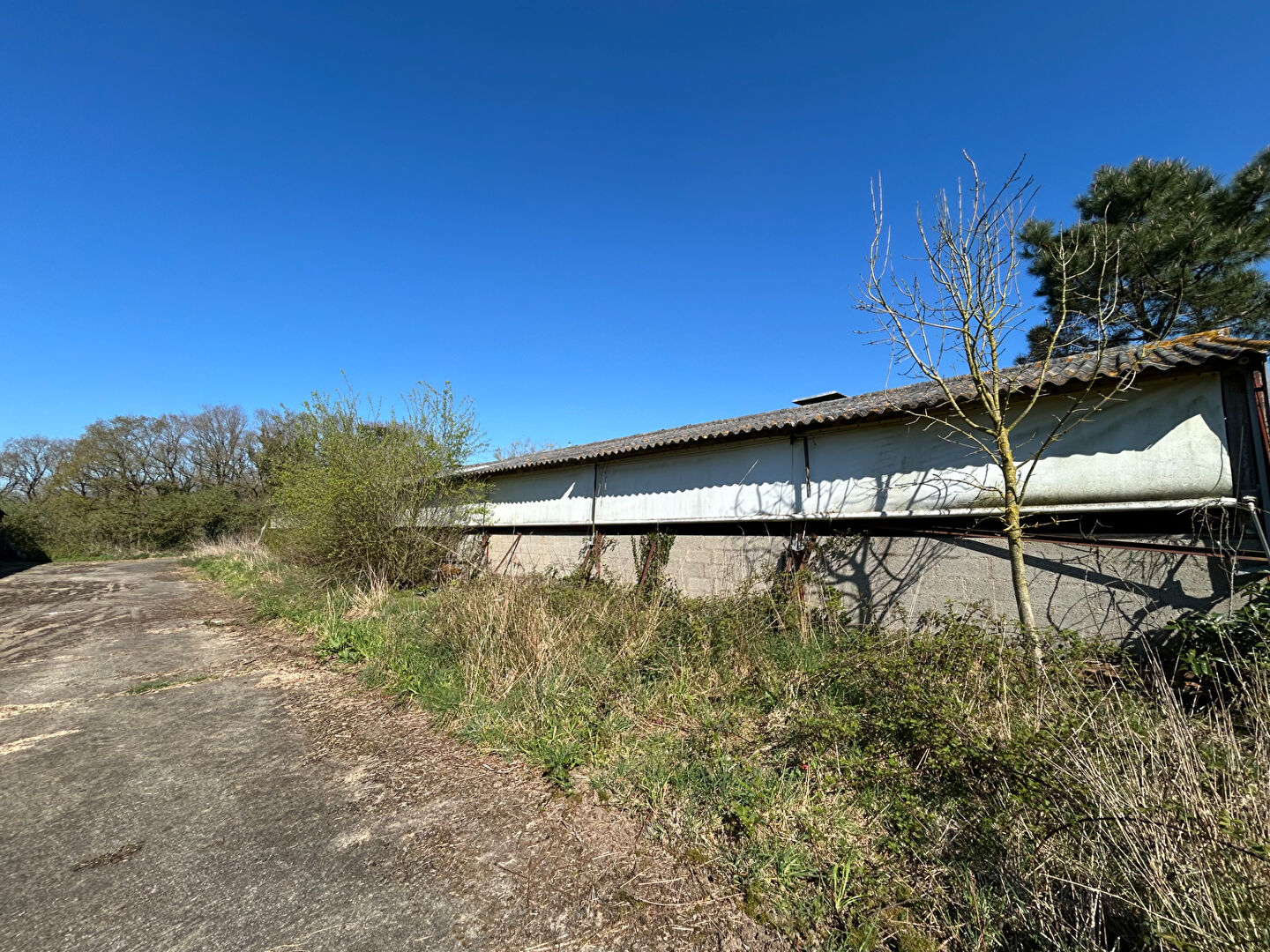 Deux hangars sur 1 hectare de terrain à Questembert