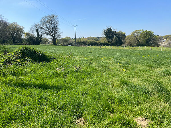 Vente terrain à Malansac (56220)
