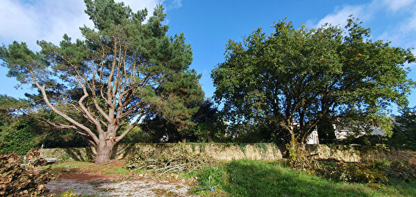 Vente terrain à Saint gildas de rhuys (56730)
