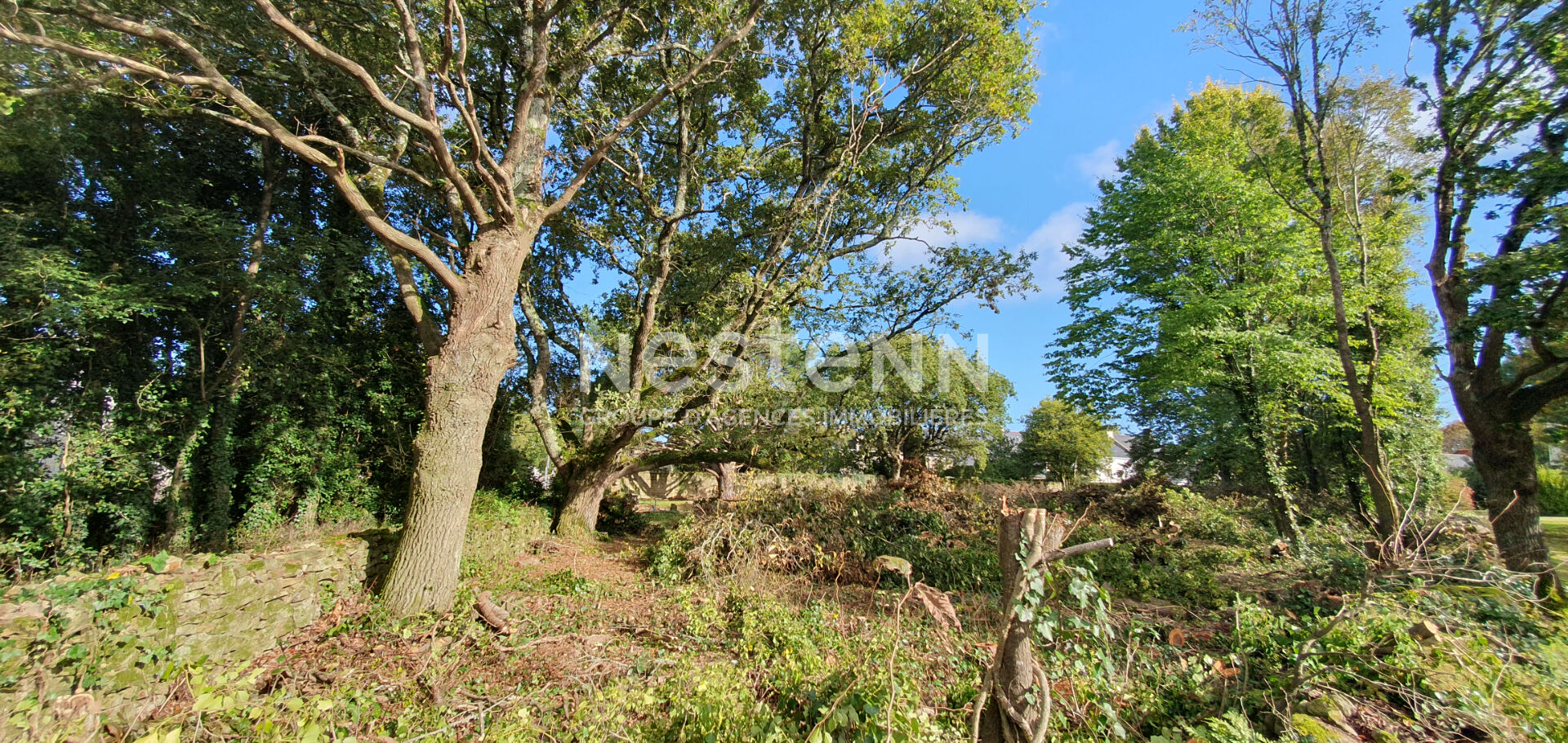 Terrain Sarzeau 750 m²