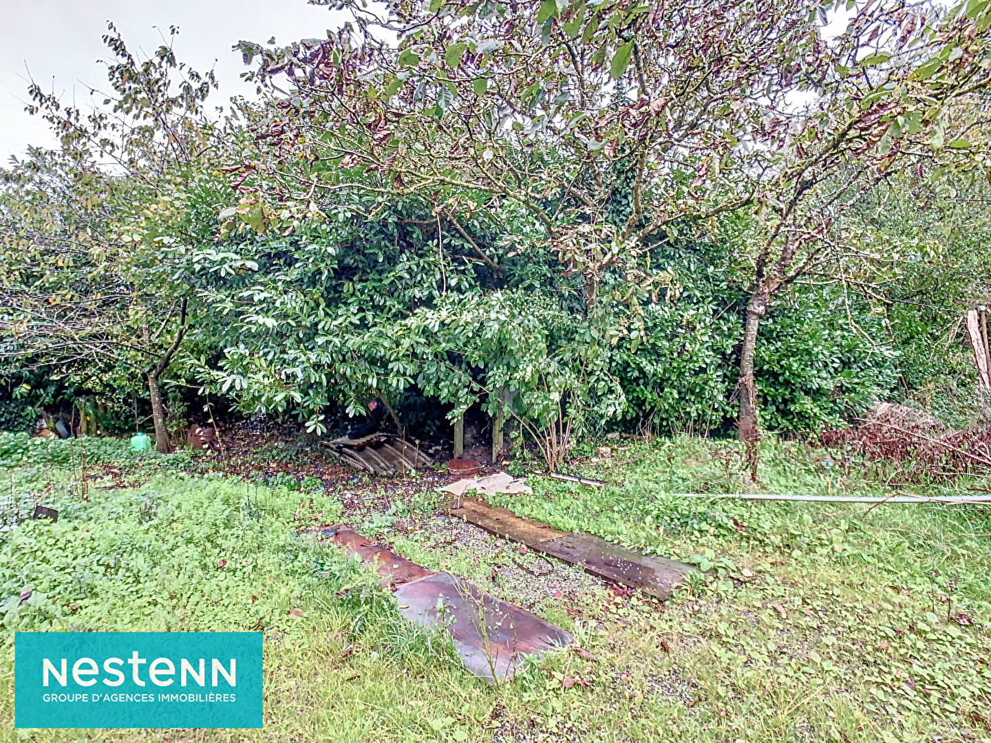 Maison en pierres à rénover intégralement, au calme, sur 1 hectare de terrain à Lanfains