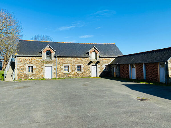 Vente maison à Plerin (22190)