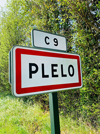Vente terrain à Tremeloir (22590)