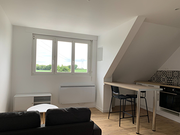 Location à Plaine haute (22800)