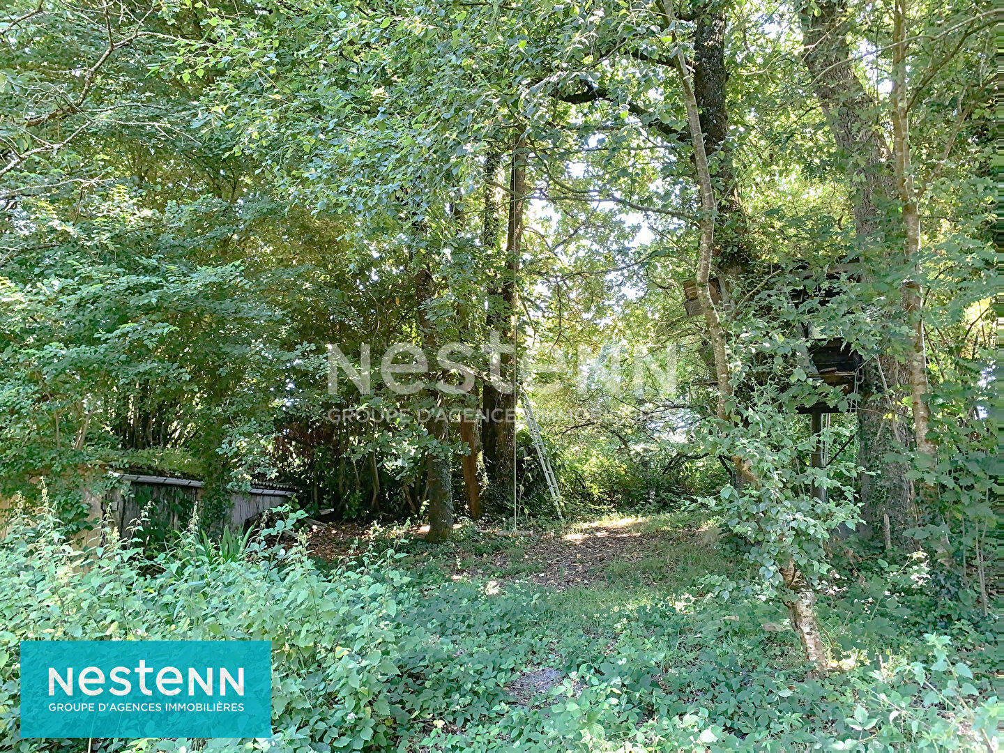 À VENDRE Havre de paix aux portes de la forêt de l'Hermitage