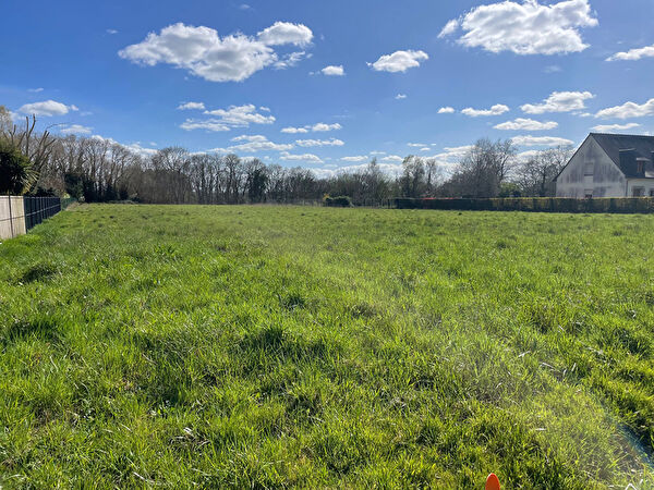 Vente terrain à Val d oust (56460)