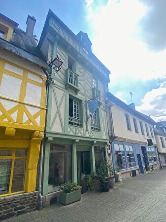 Vente maison à La gree saint laurent (56120)