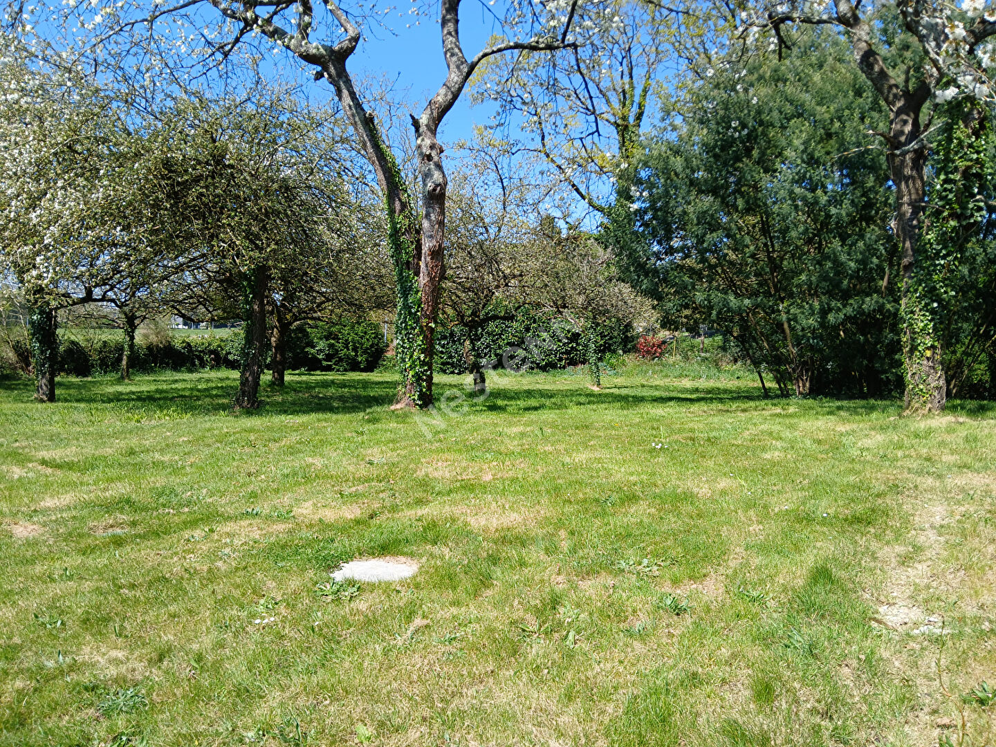 A LOUER - Maison de 6 pièces à Val d'Oust (56460)