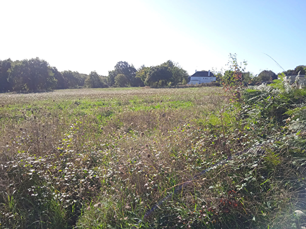 Vente terrain à Fegreac (44460)