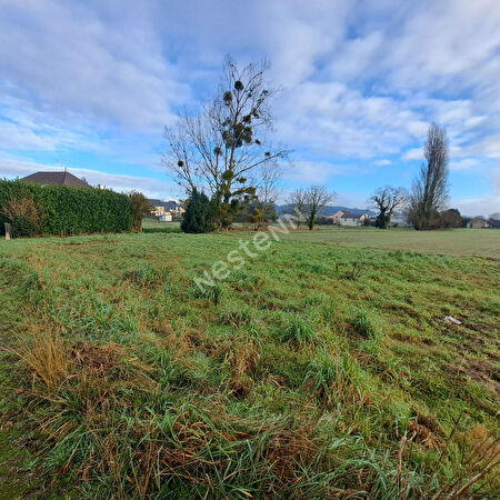 Vente terrain à Savigne sous le lude (72800)