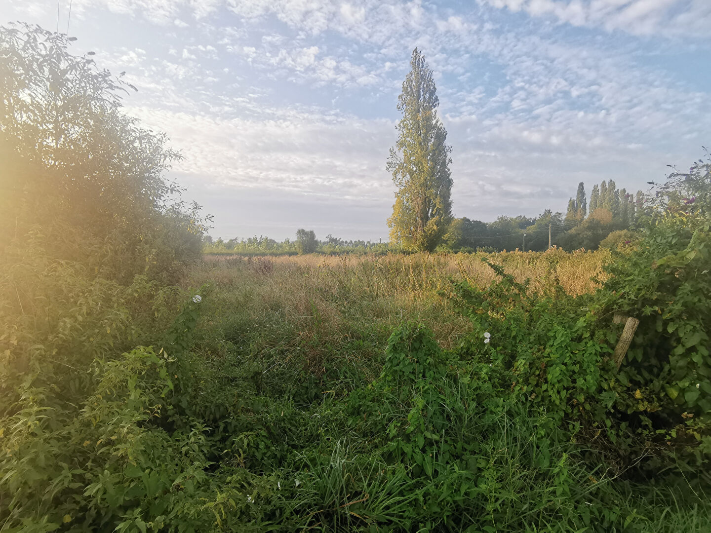 LA FLECHE, Charme et Espace à 5 mn du centre ville pour cette longère en campagne