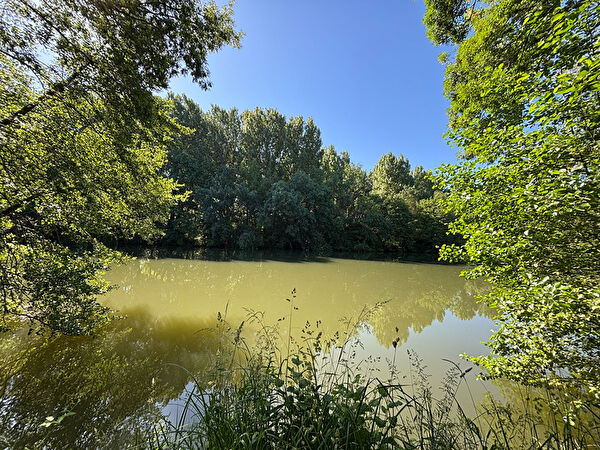 Vente terrain à La chapelle saint laud (49140)