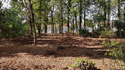 Vente terrain à Commequiers (85220)