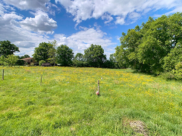 Vente par agence immobiliere à Cholet (49300)