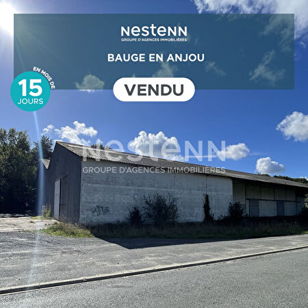 Vente local-professionnel à Saint jean de la croix (49130)