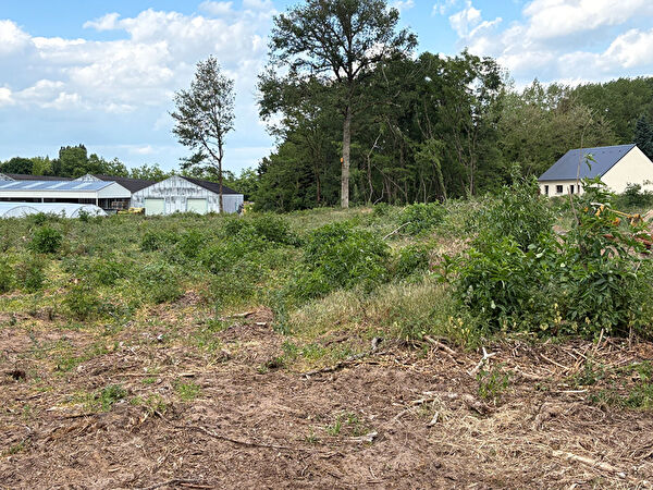 Vente terrain à Cinais (37500)