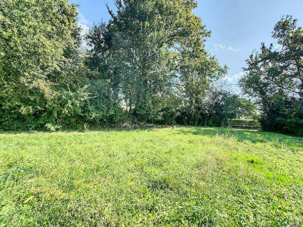 Vente terrain aux hauts d anjou (49330)