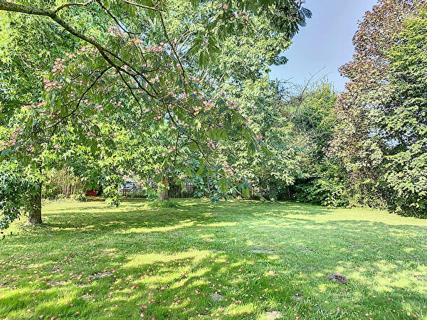 Vente terrain aux hauts d anjou (49330)