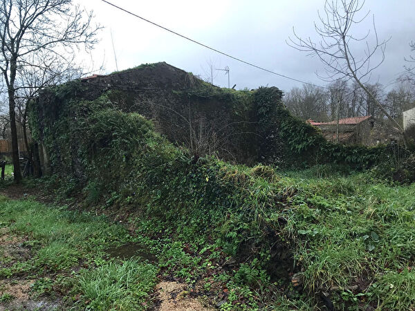 Vente maison à Falleron (85670)
