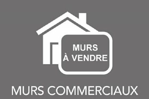 Vente local-professionnel à Lehon (22100)