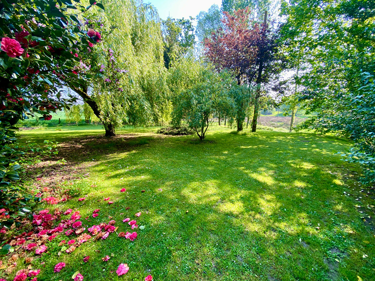 À vendre - Maison à Bazouges-la-Pérouze - 3 chambres - Terrain de 3900m2