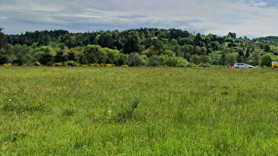 Vente terrain à Saint julien chapteuil (43260)