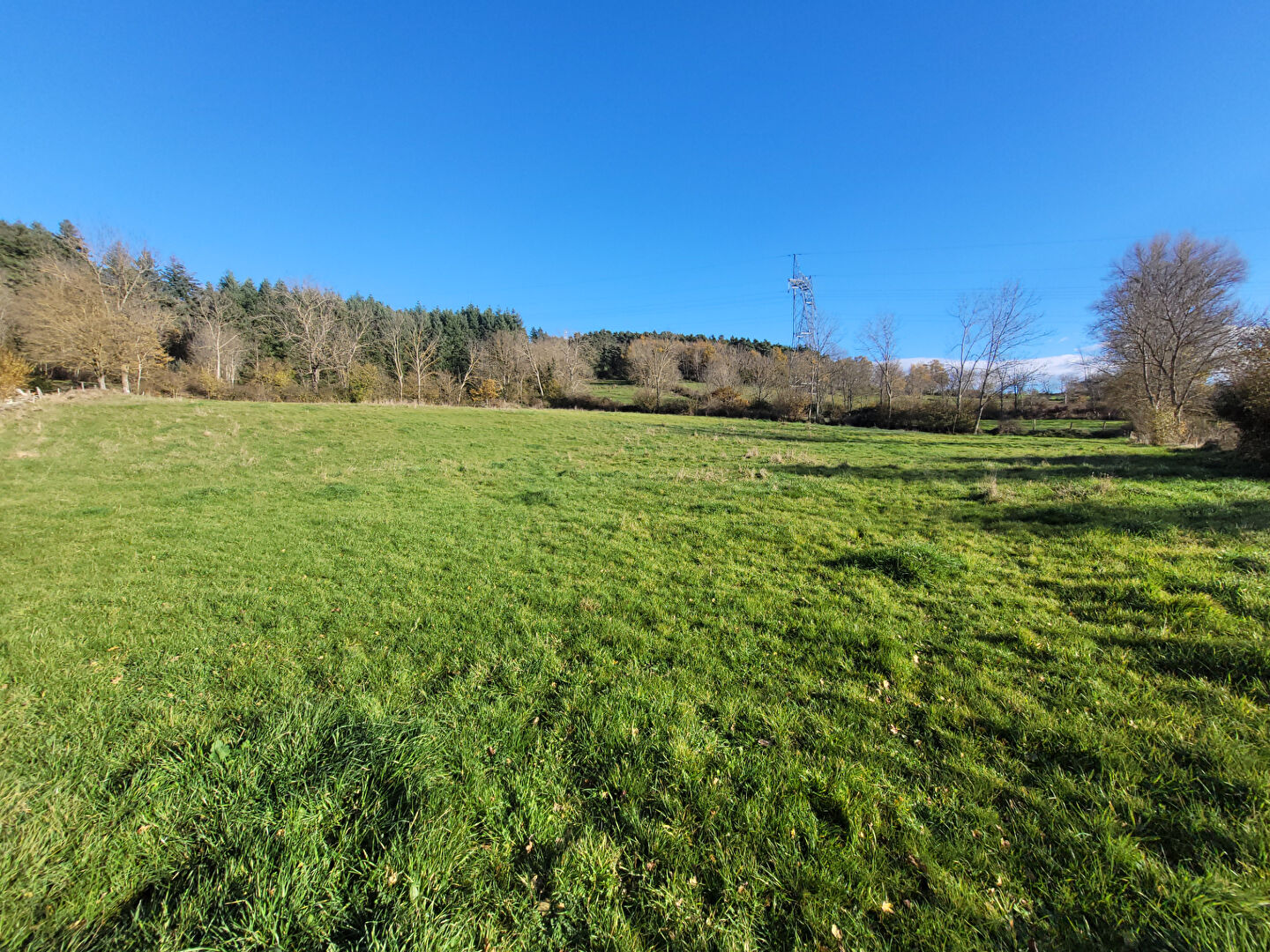 EXCLUSIVITE  BEAUX ! belle parcelle de 3600 m2 constructible avec vue dégagée