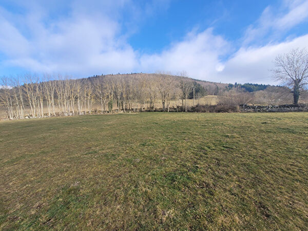 Vente terrain à Saint julien chapteuil (43260)