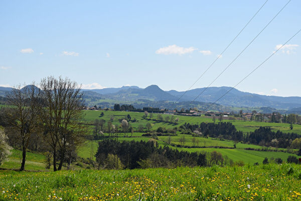 Vente terrain à Auterive (31190)