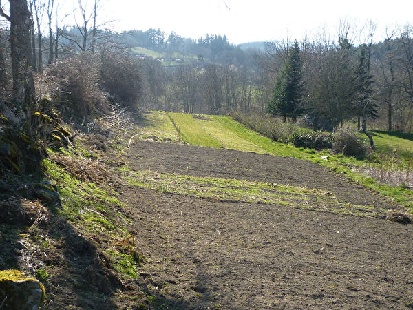 Vente terrain à Auterive (31190)
