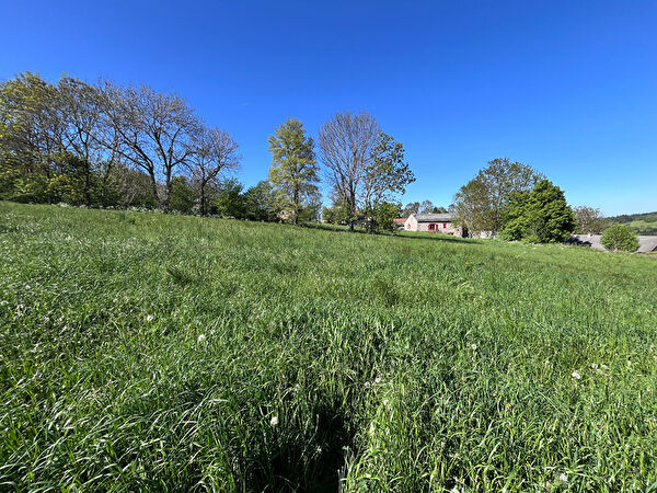 Vente terrain à Saint julien chapteuil (43260)