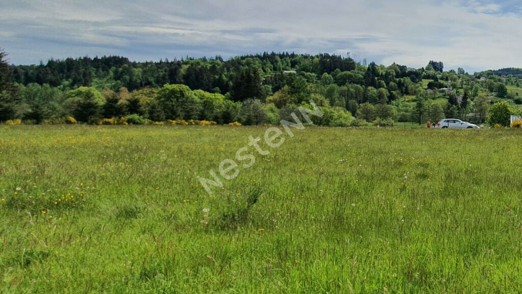 Terrain viabilisé à Saint Jeures avec vue dans lotissement de 2400 m2