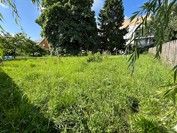 Vente terrain à Chalonnes sur loire (49290)