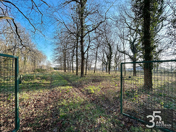 Vente terrain à Andard (49800)