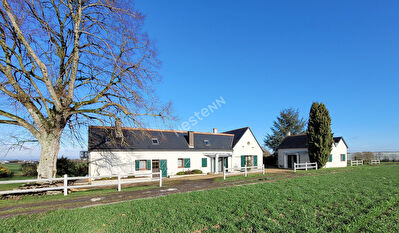 Vente maison à Couesmes (37330)
